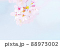 桜 88973002