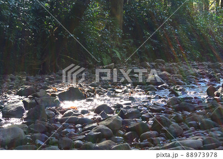 三浦アルプス 88973978