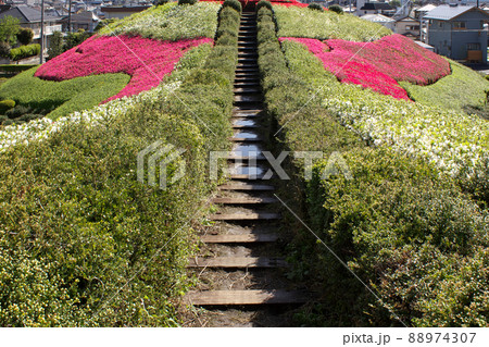 ツツジ咲く塚山古墳 ツツジ咲く塚山古墳 88974307