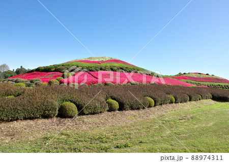 ツツジ咲く塚山古墳 ツツジ咲く塚山古墳 88974311
