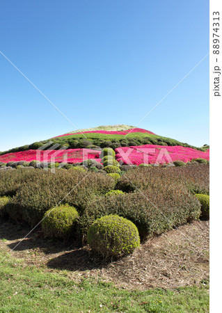 ツツジ咲く塚山古墳 ツツジ咲く塚山古墳 88974313