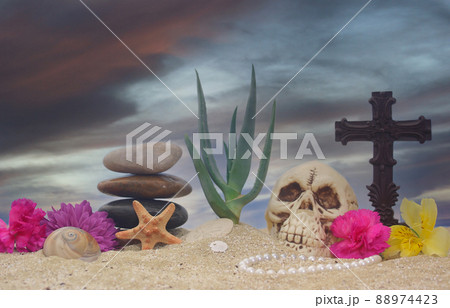 Aloe Plant with Flowers and Skull on Sand With Blue Sky Aloe Plant with Flowers and Skull on Sand With Blue Sky 88974423