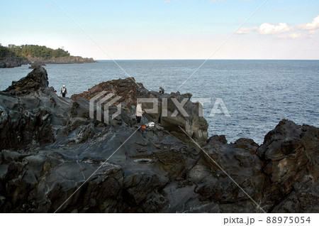 城ケ崎海岸の磯釣り 城ケ崎海岸の磯釣り 88975054