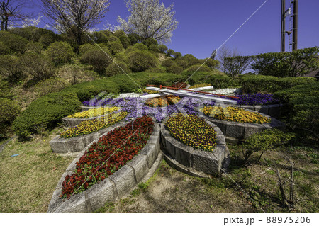 仁摩サンドミュージアム 花時計 島根県大田市の写真素材 8756