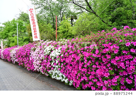 名古屋都市風景・おちょぼ稲荷 88975244