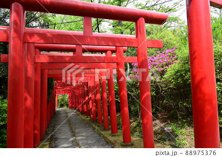 千代保稲荷神社　名古屋支所 88975376