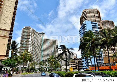 ハワイの休日 88975743