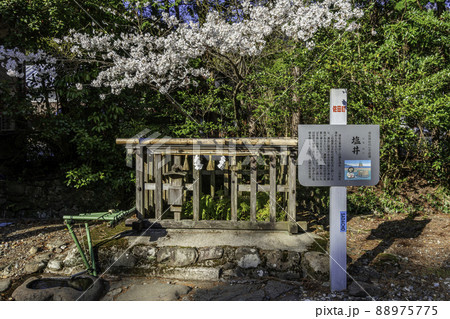 須佐神社　塩井　島根県出雲市 88975775
