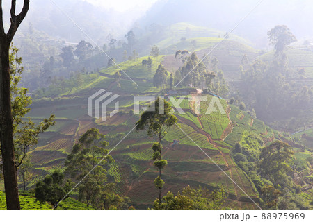 Sri Lanka landscapes Sri Lanka landscapes 88975969