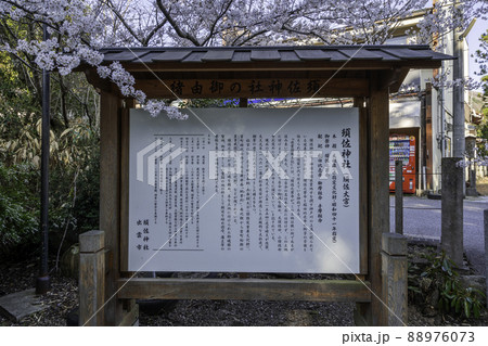 須佐神社　由緒書　島根県出雲市 88976073