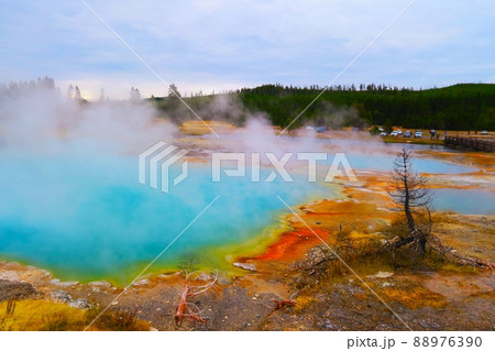 ビスケット・ベイスンのブラックオパール・スプリング ビスケット・ベイスンのブラックオパール・スプリング 88976390