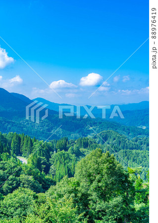 夏の大望峠【長野県】 88976419