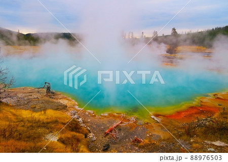 ビスケット・ベイスンのブラックダイヤモンド・プール 88976503