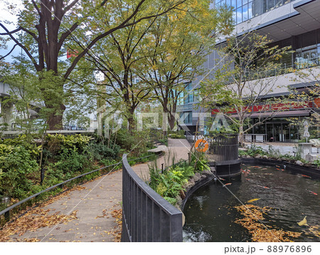 TOKYO TORCH　常盤橋タワー　早朝（2021年11月） 88976896