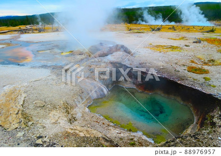 ビスケット・ベイスンのシルバーグローブ・ガイザー 88976957