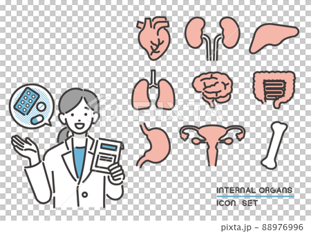 臓器内臓と説明をする薬剤師のベクターイラスト素材／心臓／ボディパーツ 88976996