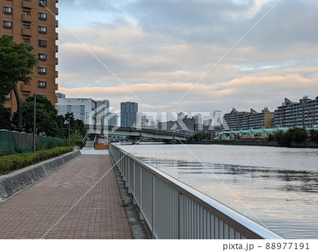 東京　汐見運河　潮風の散歩道　潮見 88977191
