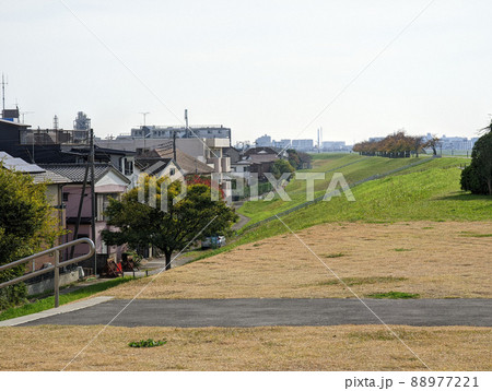 東京　江戸川河川敷（2021年11月） 88977221