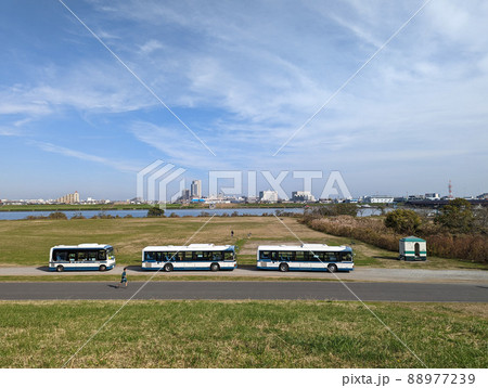東京 江戸川河川敷(2021年11月) 東京 江戸川河川敷(2021年11月) 88977239