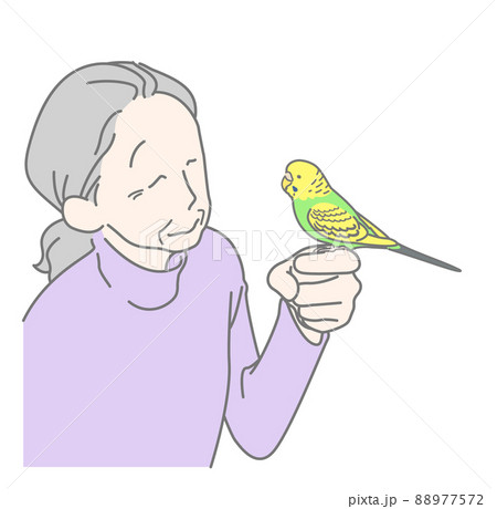 手乗りのセキセイインコに微笑むおばあさん - シニア・ペット・バードセラピー 88977572