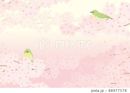 桜と2羽のメジロ(横長) 桜と2羽のメジロ(横長) 88977578