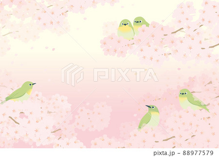 桜とメジロたち 桜とメジロたち 88977579