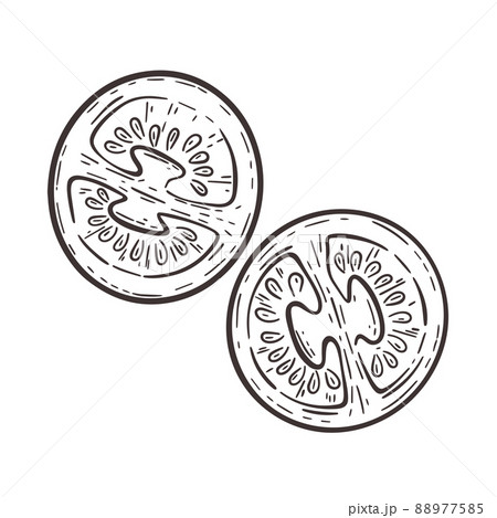 Tomato cut in half hand engraving 88977585