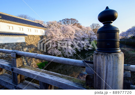 霞城公園清々しい朝　春　山形県 88977720