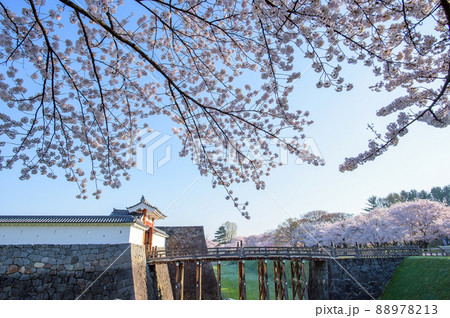霞城公園清々しい朝 春 山形県 霞城公園清々しい朝 春 山形県 88978213