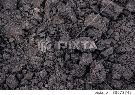 Damp soil for planting as background, garden fertile beds. Natural texture pattern Damp soil for planting as background, garden fertile beds. Natural texture pattern 88978745