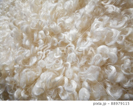 White curly wool seamless texture background. Artificial wool 88979115