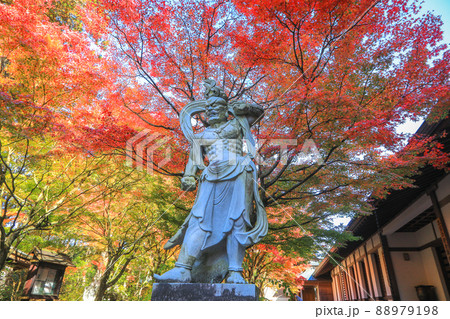 秋の吞山観音寺 88979198