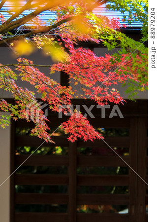 秋の吞山観音寺 88979204