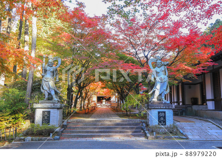 秋の吞山観音寺 秋の吞山観音寺 88979220