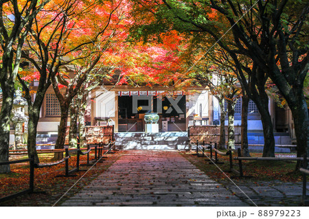 秋の吞山観音寺 88979223