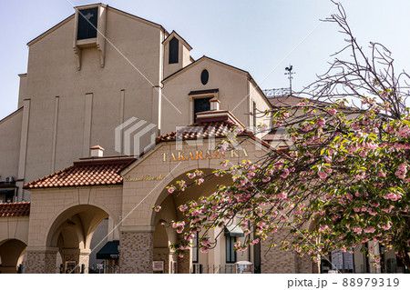 花のみち　夕景 88979319