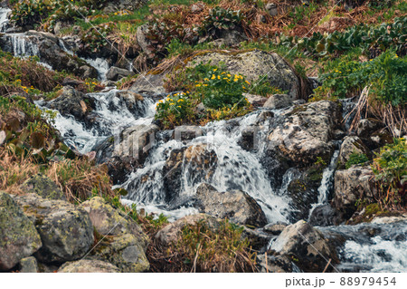 Mountain Spring Creek on sunny day. Stream flows through rocks Mountain Spring Creek on sunny day. Stream flows through rocks 88979454