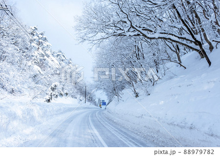 雪道・アイスバーン（蒜山　内海峠付近） 88979782