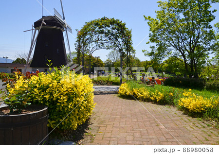 大阪　春の鶴見緑地公園 88980058