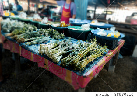 Fish market in Krabi,Raw seafood in a market near the tropical sea Fish market in Krabi,Raw seafood in a market near the tropical sea 88980510