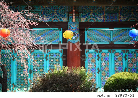 春 花 桜 88980751