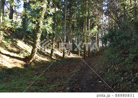 白井城跡　本丸空堀 88980831