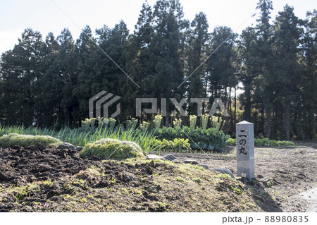 白井城 二の丸跡 白井城 二の丸跡 88980835
