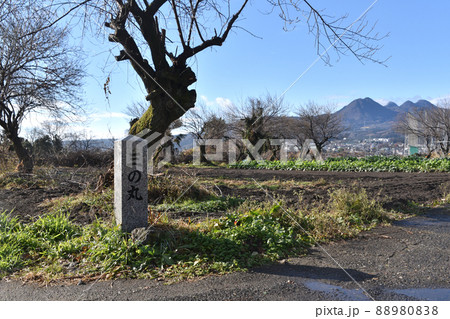 白井城　三の丸跡 88980838