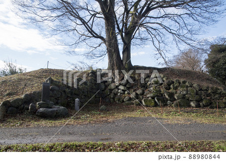 白井城跡 本丸虎口に残る石垣 白井城跡 本丸虎口に残る石垣 88980844