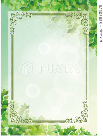 新緑 フレーム 夏 背景 新緑 フレーム 夏 背景 88980979