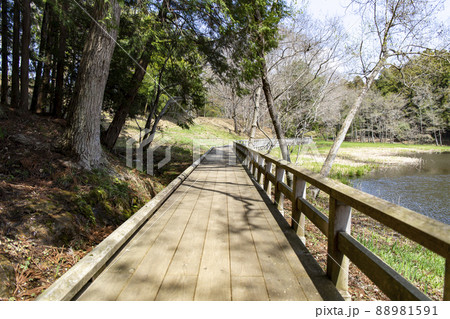 七ツ洞公園 七ツ洞公園 88981591