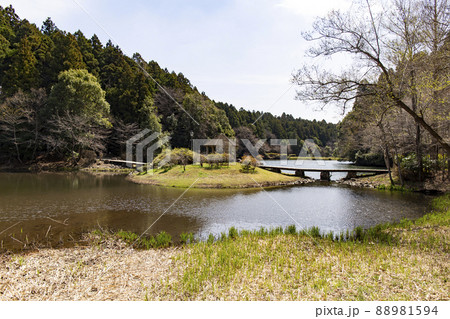 七ツ洞公園 88981594