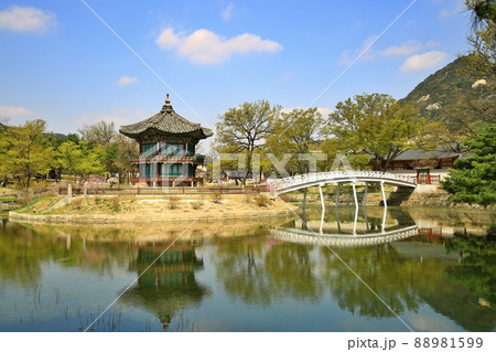 建物 池 香遠亭 88981599