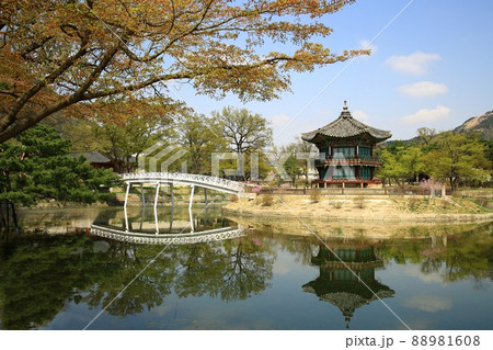 建物 景福宮 池 88981608